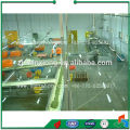 vegetable&fruit freezing processing line